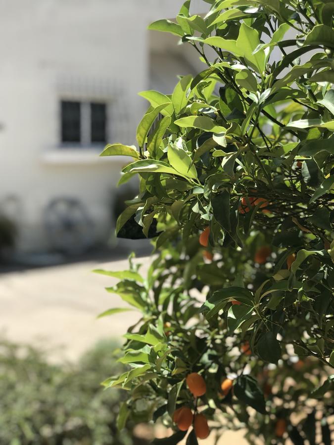דירות Spáta Aggelikis House מראה חיצוני תמונה